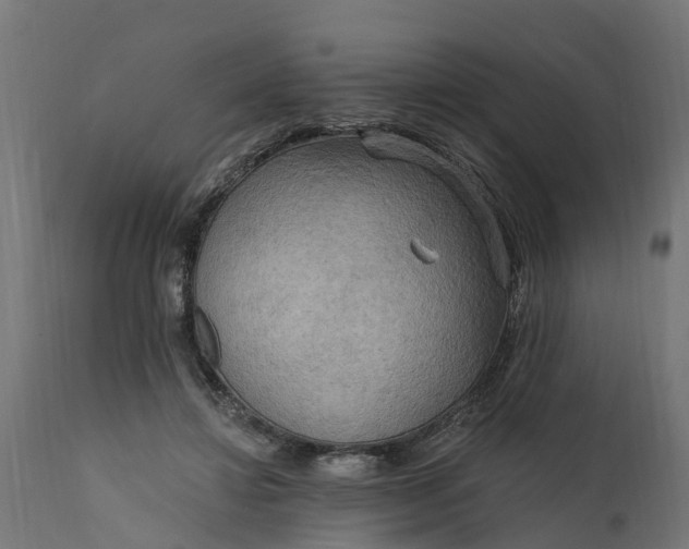 X0000111510452200907281318