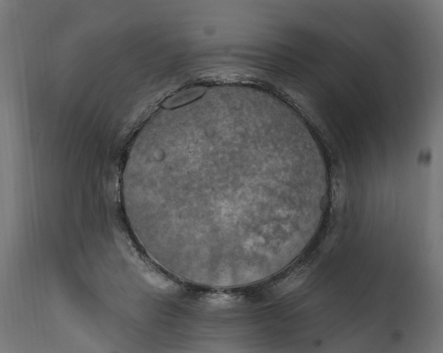 X0000111510453200907281318