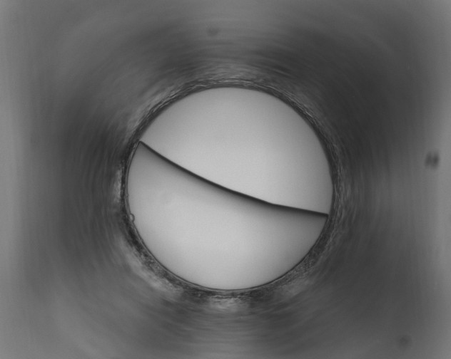 X0000111510454200907281318