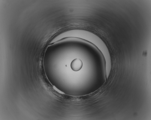 X0000111510456200907281318