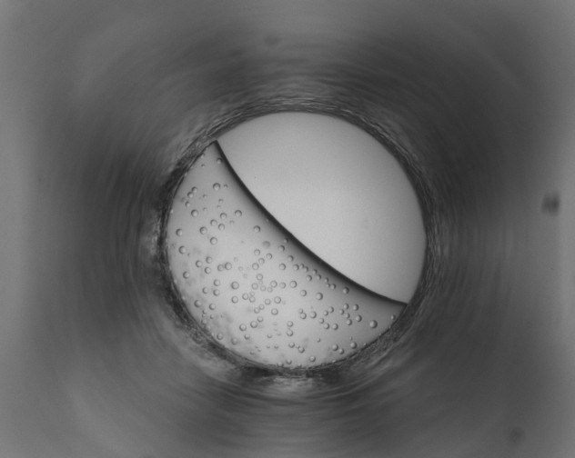 X0000111510458200907281318