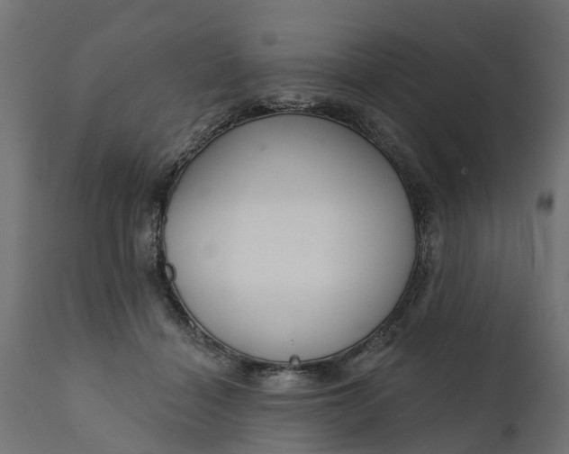 X0000111510460200907281318