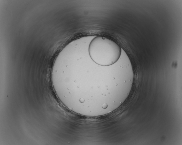 X0000111510462200907281318