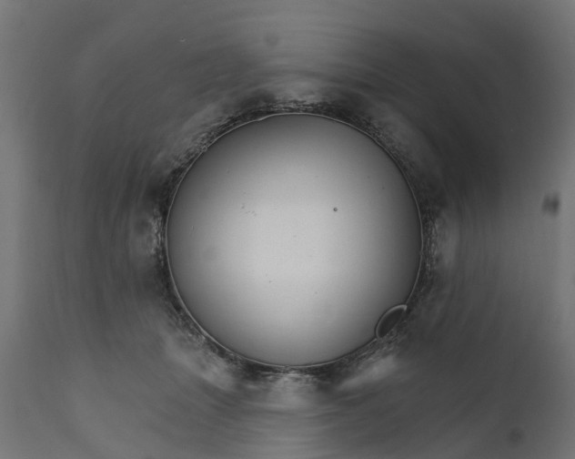 X0000111510463200907281319