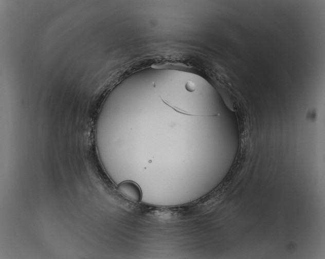 X0000111510464200907281319