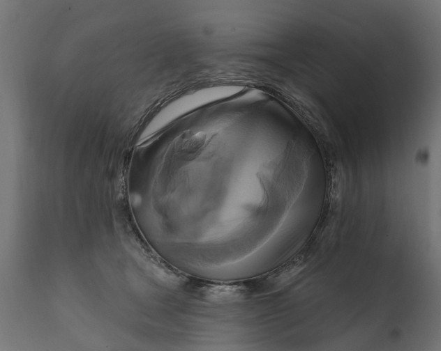 X0000111510465200907281319