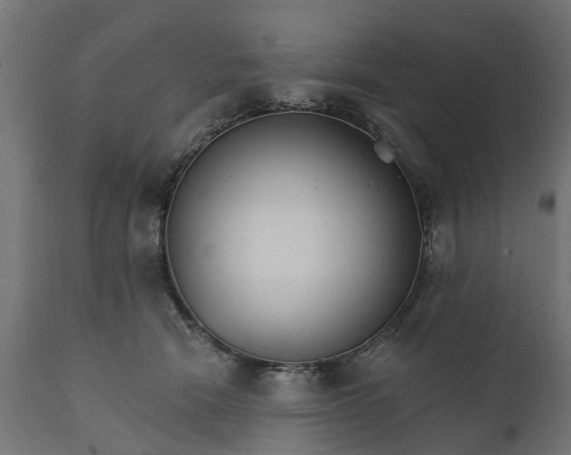 X0000111510466200907281319