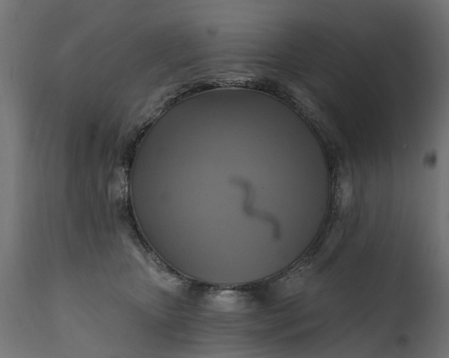 X0000111510467200907281319