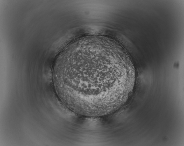 X0000111510469200907281319