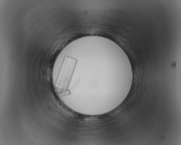X0000111510470200907281319