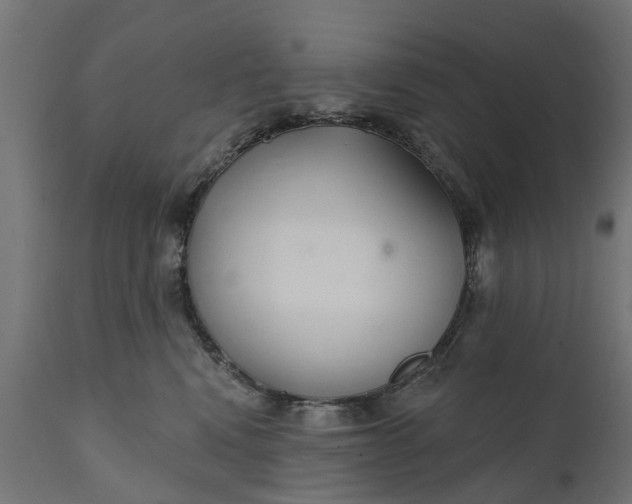 X0000111510472200907281319