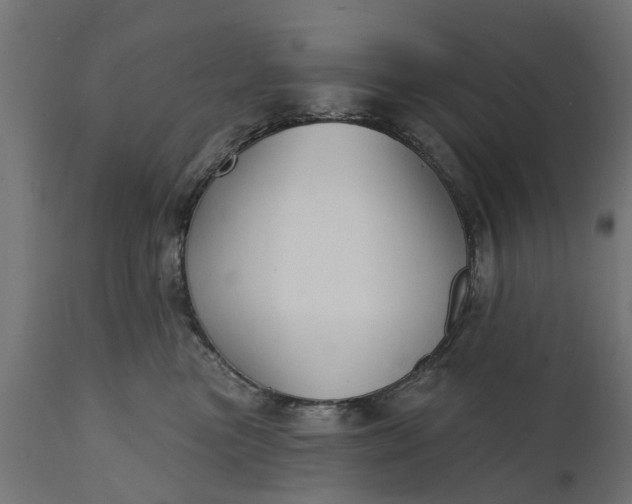X0000111510473200907281319