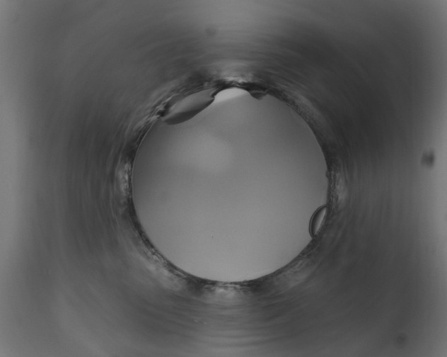 X0000111510475200907281319