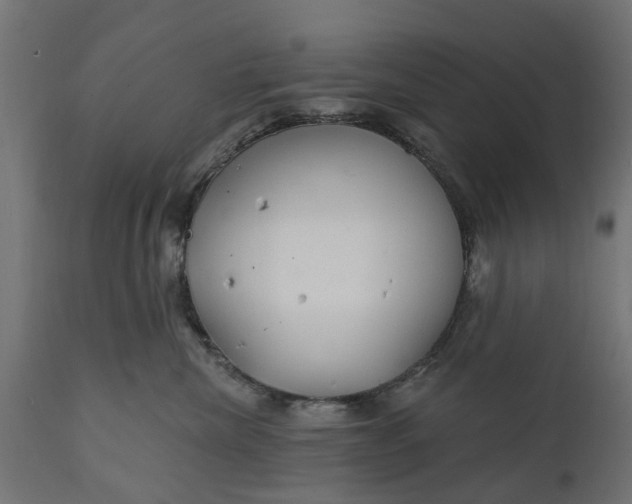 X0000111510476200907281319