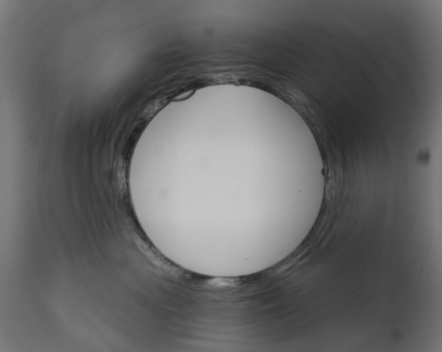 X0000111510477200907281319