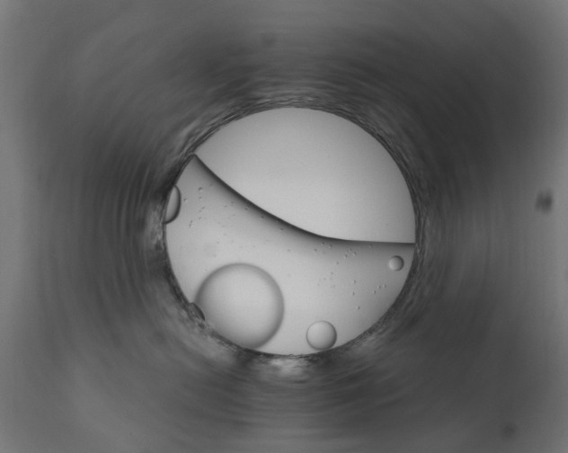 X0000111510478200907281319