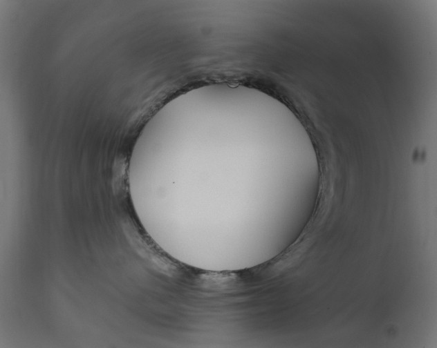 X0000111510480200907281319