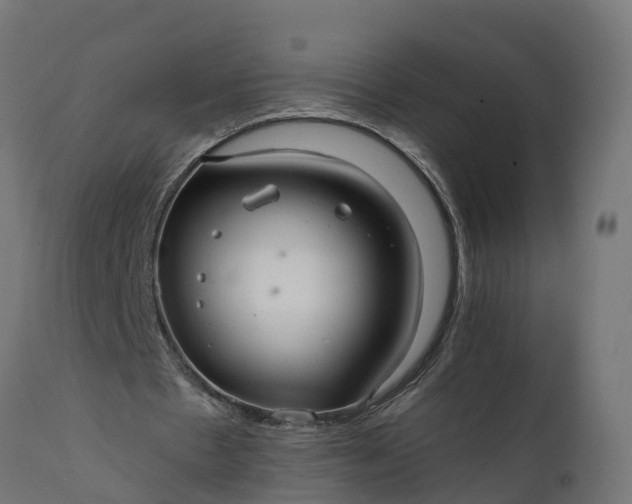 X0000111510481200907281318