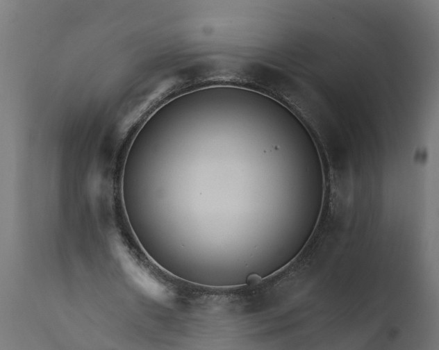 X0000111510482200907281318