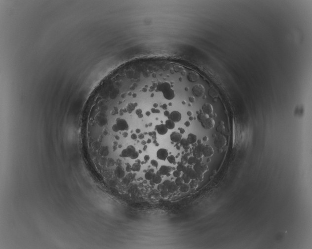 X0000111510483200907281318