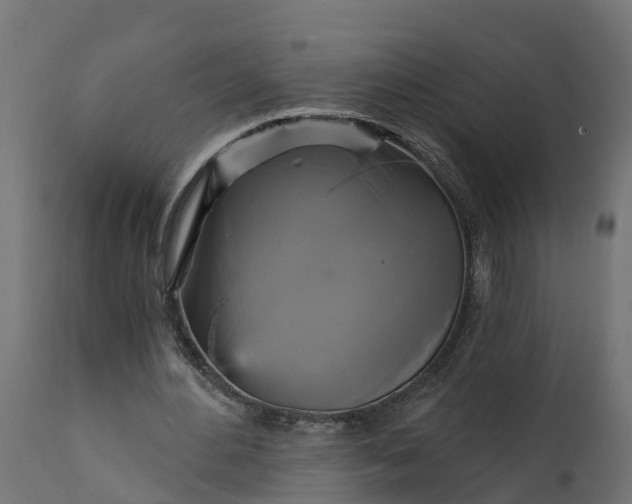 X0000111510484200907281318