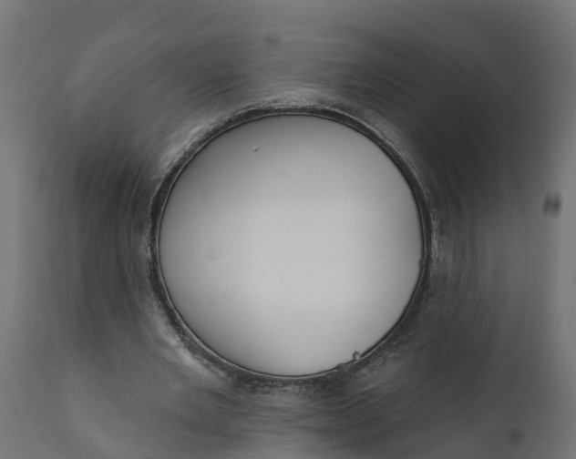 X0000111510485200907281318