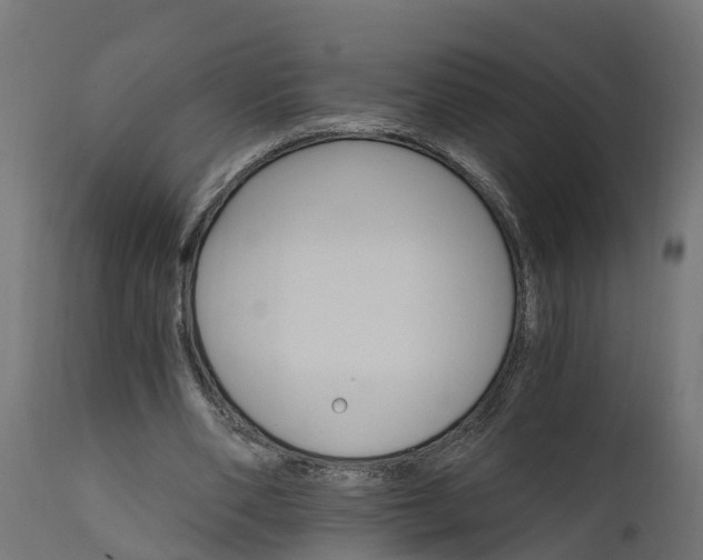 X0000111510486200907281318