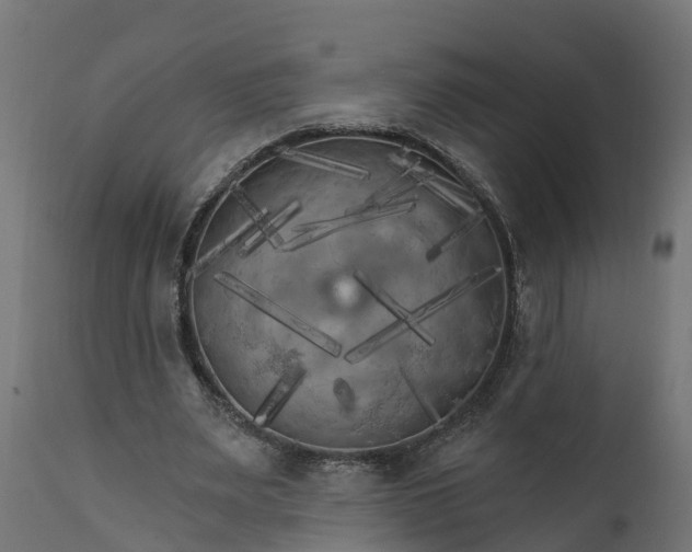X0000111510487200907281318