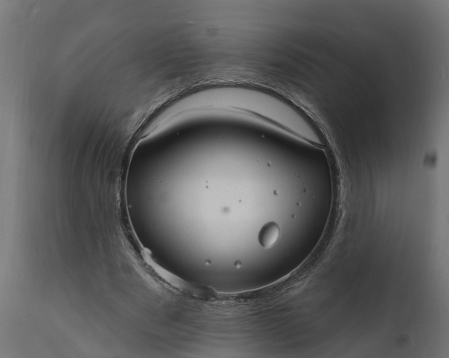 X0000111510489200907281318