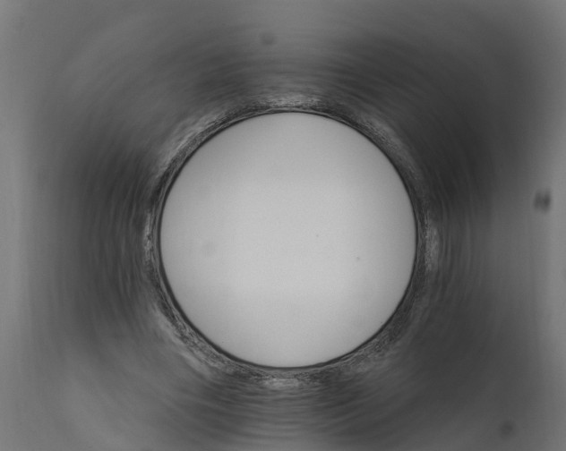 X0000111510490200907281318
