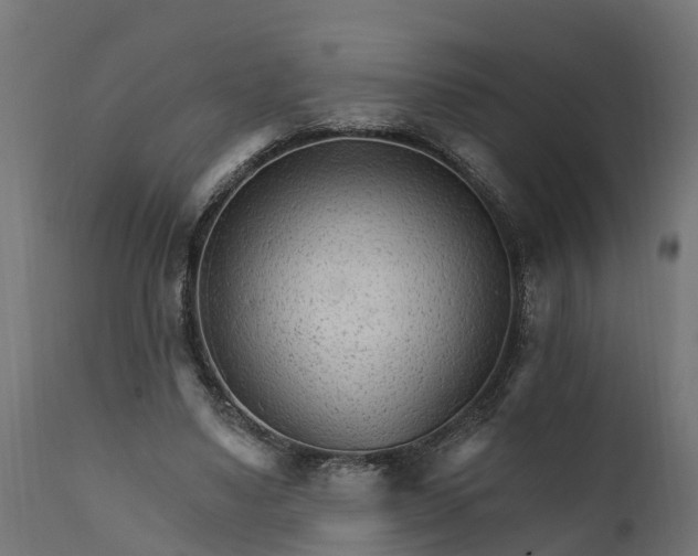 X0000111510491200907281318