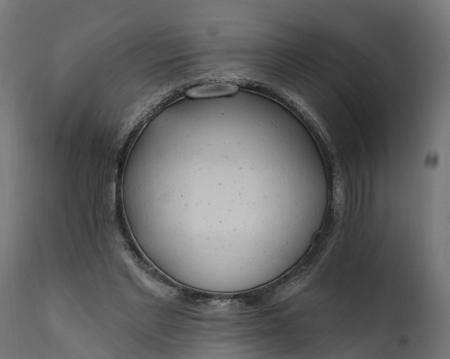 X0000111510493200907281318