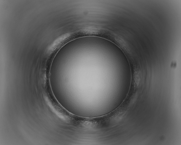 X0000111510494200907281318