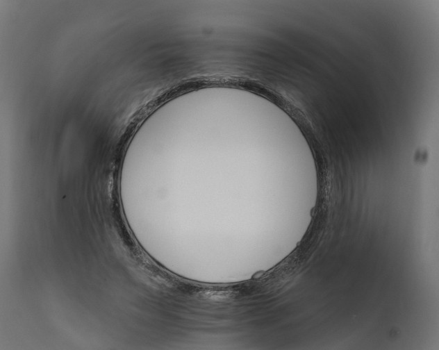 X0000111510495200907281318