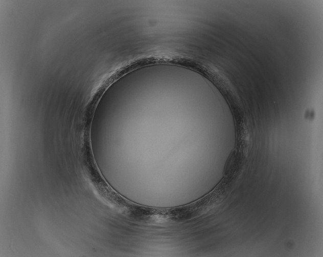 X0000111510496200907281318