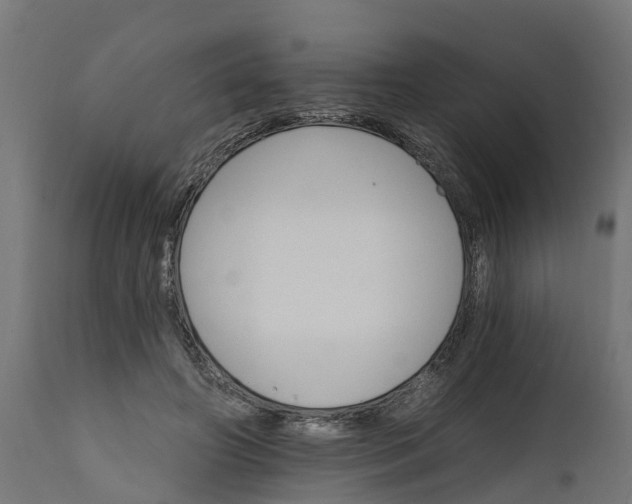 X0000111510498200907281318