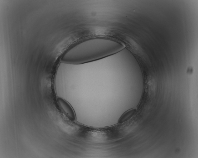 X0000111510500200907281318