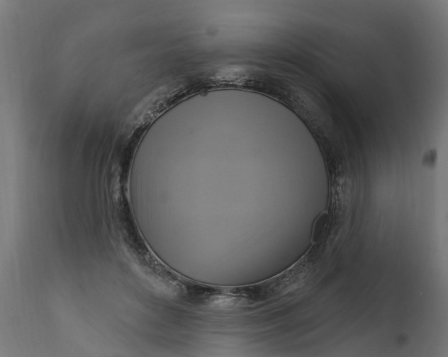 X0000111510504200907281318