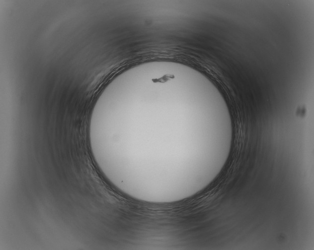 X0000111510505200907281318