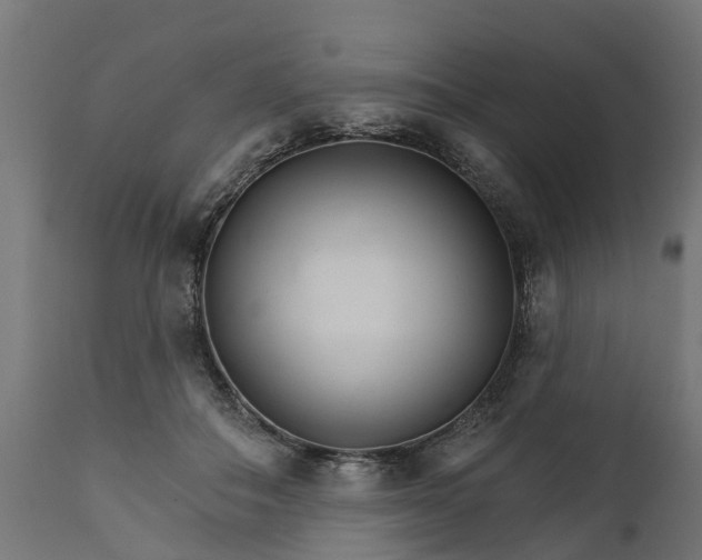 X0000111510506200907281318