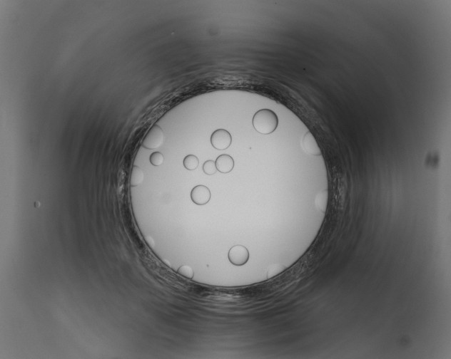 X0000111510507200907281318