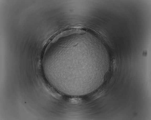 X0000111510508200907281318