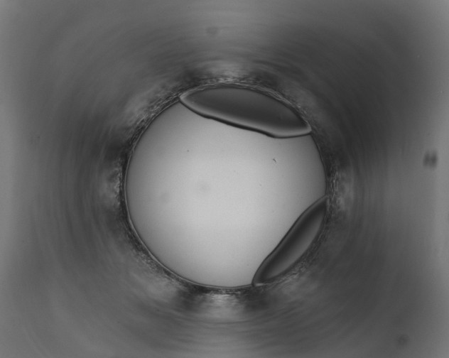 X0000111510509200907281317