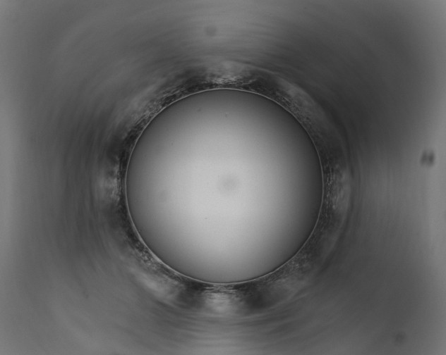X0000111510510200907281317