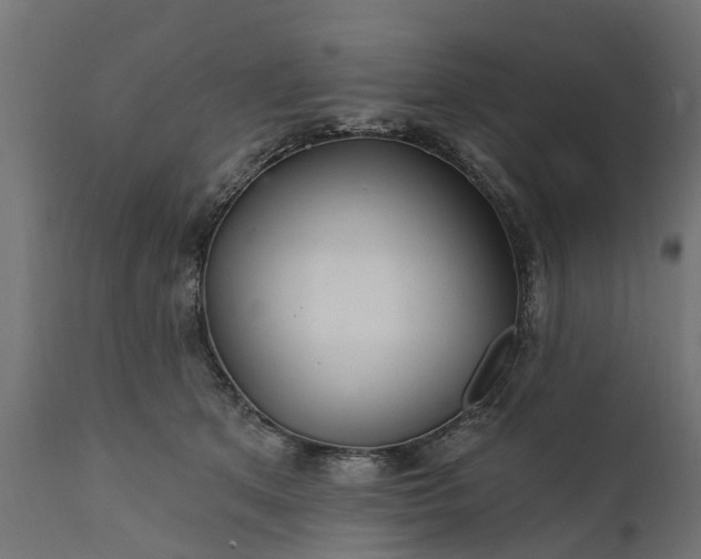 X0000111510513200907281317