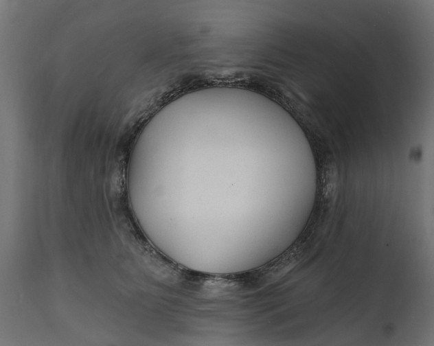 X0000111510515200907281317