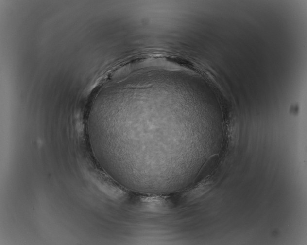 X0000111510516200907281317