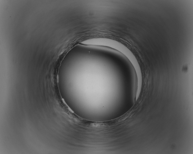 X0000111510520200907281317