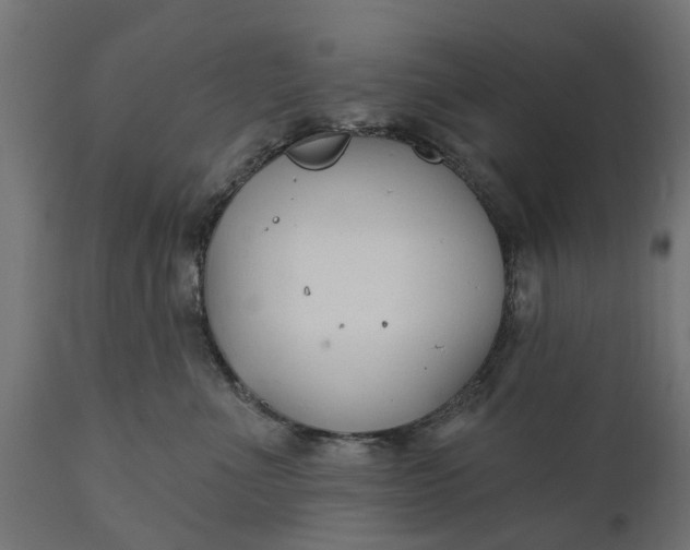 X0000111510523200907281317