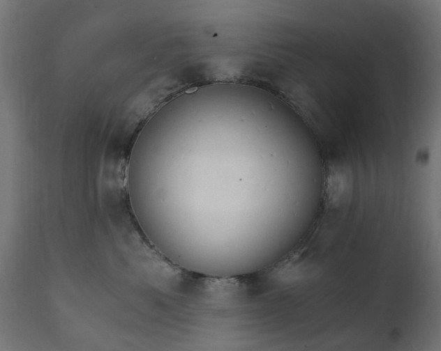 X0000111510525200907281317